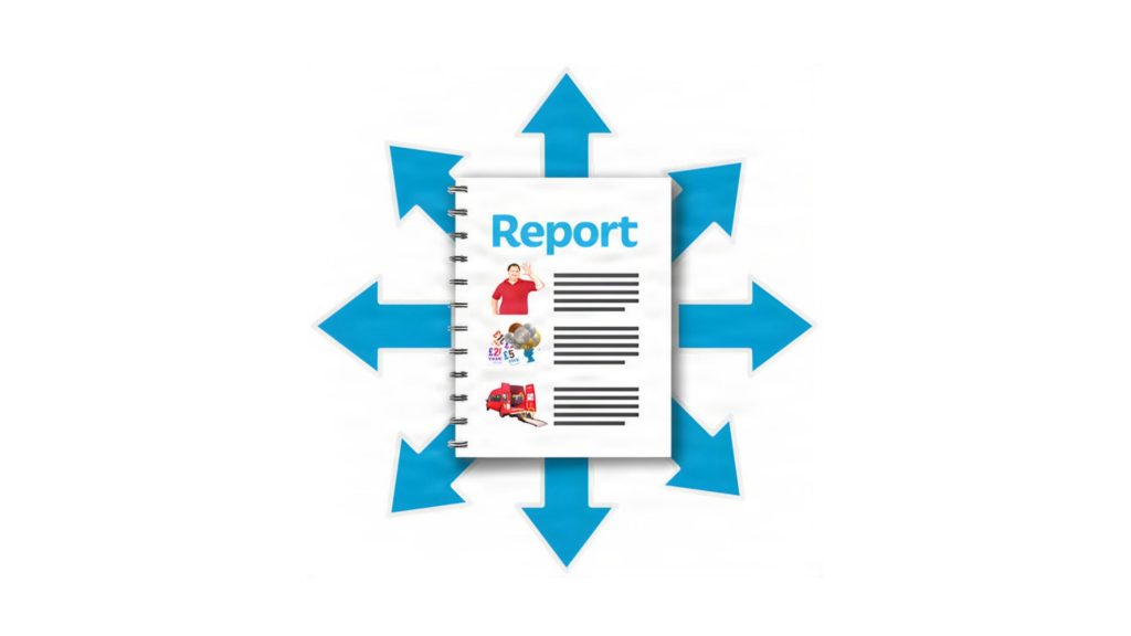 Inclusive Governance Project Report in Easy Read